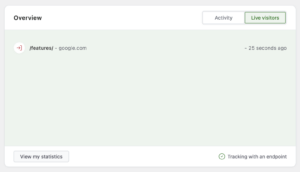 A block from the Burst Statistics dashboard that shows the current visitors live on the website